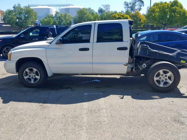 1D7HE48K36S698219 - 2006 DODGE DAKOTA QUA WHITE photo 9