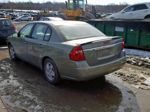 1G1ZT54855F250407 - 2005 CHEVROLET MALIBU LS GREEN photo 3