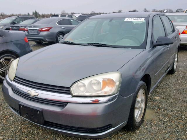 1G1ZT52865F309547 - 2005 CHEVROLET MALIBU LS Mavi foto 2