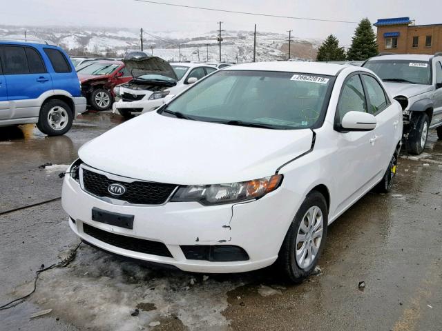 KNAFU4A2XB5459691 - 2011 KIA FORTE EX WHITE photo 2