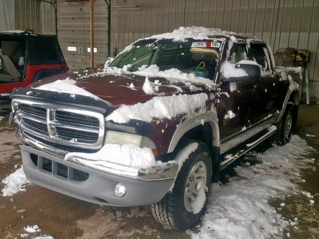 1B7GG2AN11S147336 - 2001 DODGE DAKOTA QUA MAROON photo 2