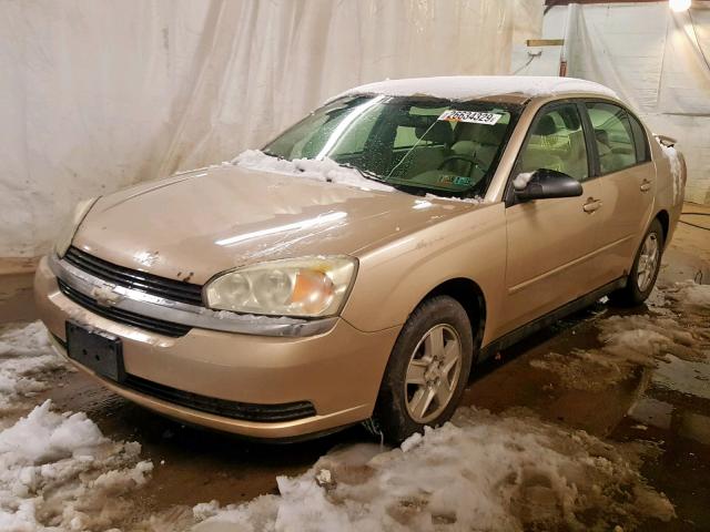 1G1ZT54844F115904 - 2004 CHEVROLET MALIBU LS GOLD photo 2