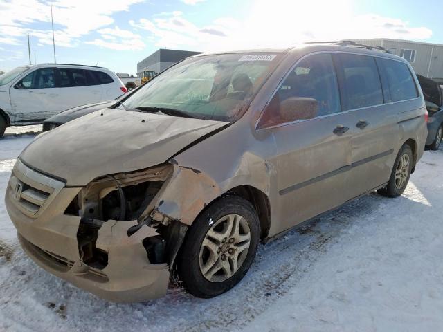 5FNRL38246B508942 - 2006 HONDA ODYSSEY LX  photo 2