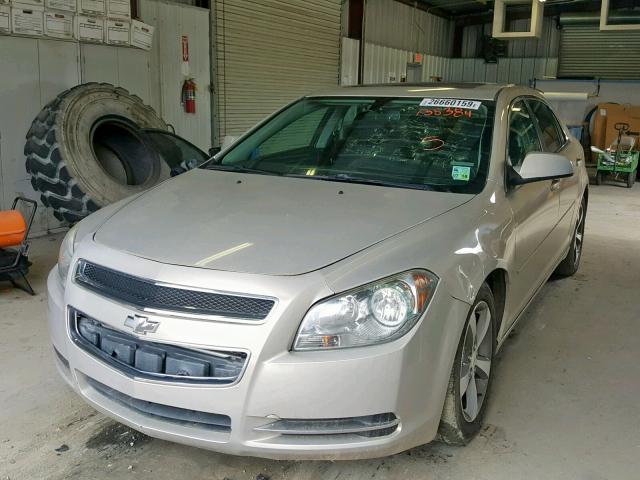 1G1ZC5EU8BF138384 - 2011 CHEVROLET MALIBU 1LT 金色 照片 2
