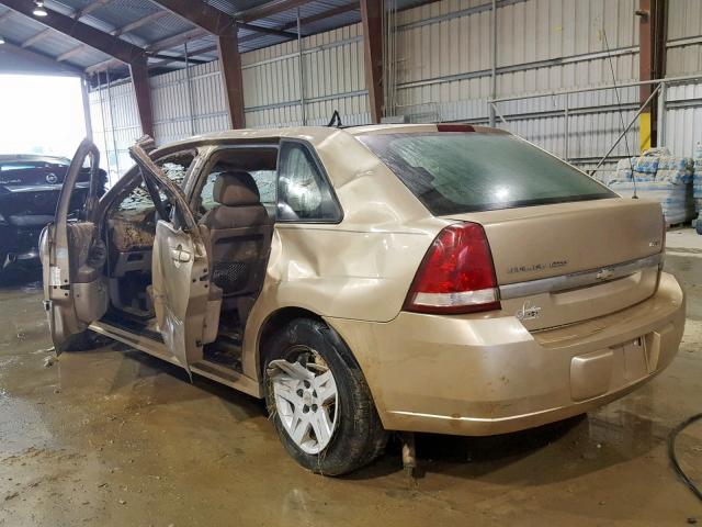 1G1ZT61846F118590 - 2006 CHEVROLET MALIBU MAX ოქროსფერი ფოტო 3