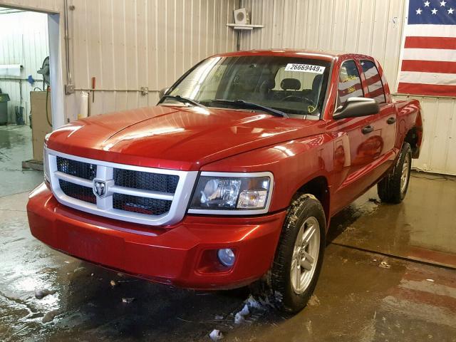 1D7HW38K38S577183 - 2008 DODGE DAKOTA SXT RED photo 2