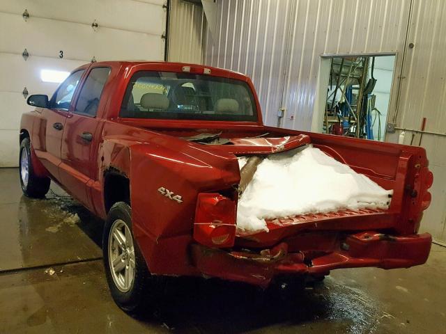 1D7HW38K38S577183 - 2008 DODGE DAKOTA SXT RED photo 3