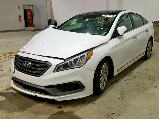 5NPE34AF0GH389291 - 2016 HYUNDAI SONATA SPO WHITE photo 2