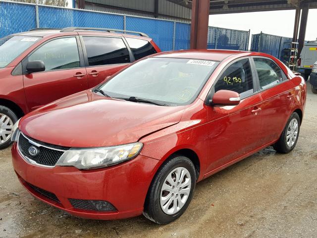 KNAFU4A2XA5812347 - 2010 KIA FORTE EX RED photo 2