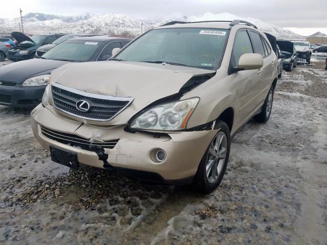 JTJHW31U662000597 - 2006 LEXUS RX 400  photo 2