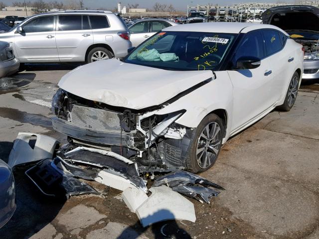 1N4AA6AP1GC377466 - 2016 NISSAN MAXIMA 3.5 WHITE photo 2