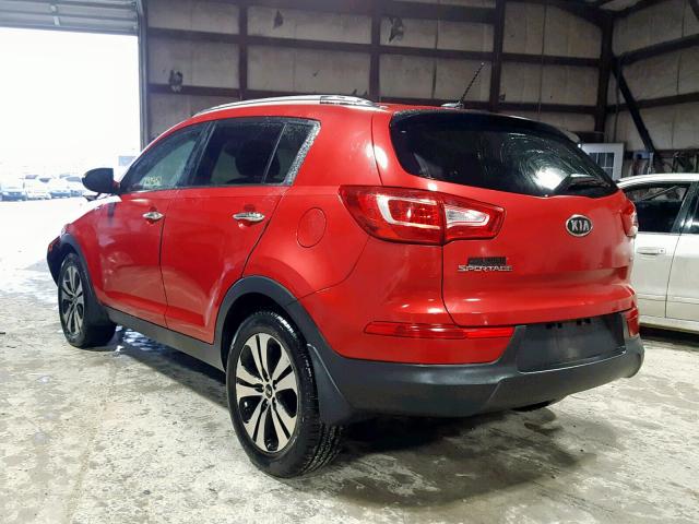 KNDPCCA2XB7101239 - 2011 KIA SPORTAGE E RED photo 3