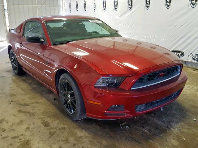 1ZVBP8AM2E5276479 - 2014 FORD MUSTANG RED photo 1