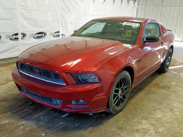 1ZVBP8AM2E5276479 - 2014 FORD MUSTANG RED photo 2