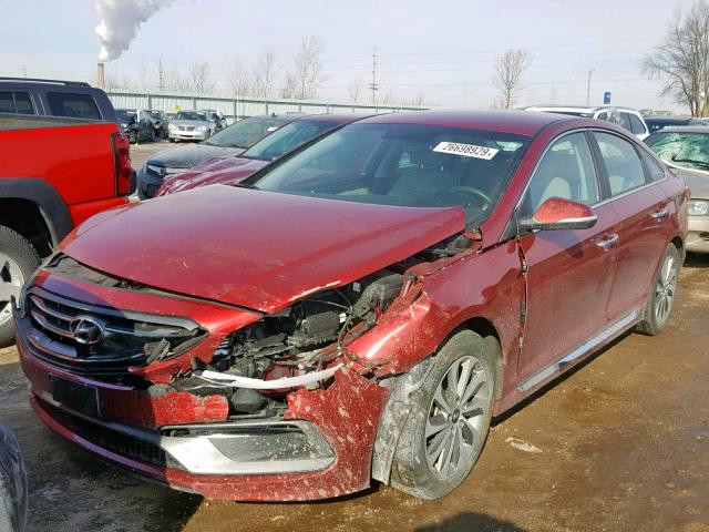 5NPE34AF8FH069392 - 2015 HYUNDAI SONATA SPO RED photo 2