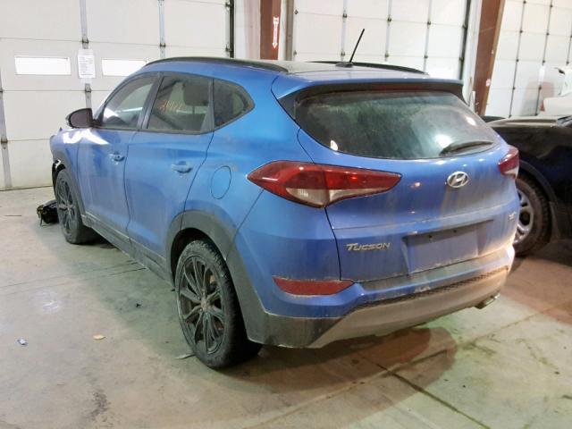 KM8J33A23HU445667 - 2017 HYUNDAI TUCSON LIM BLUE photo 3