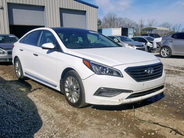 5NPE34AF8FH034691 - 2015 HYUNDAI SONATA SPO WHITE photo 1