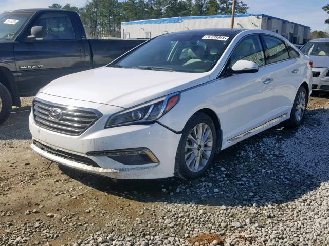 5NPE34AF8FH034691 - 2015 HYUNDAI SONATA SPO WHITE photo 2