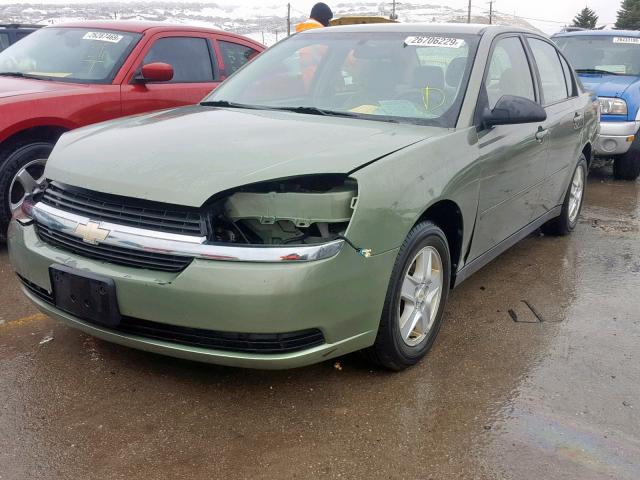 1G1ZT54805F210056 - 2005 CHEVROLET MALIBU LS GREEN photo 2