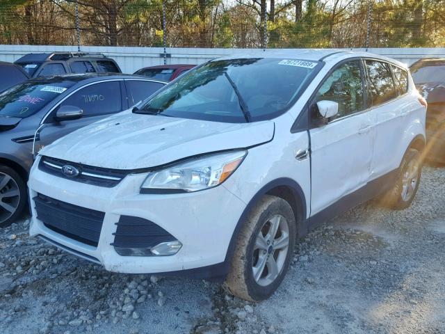 1FMCU0GX5EUD77035 - 2014 FORD ESCAPE SE WHITE photo 2