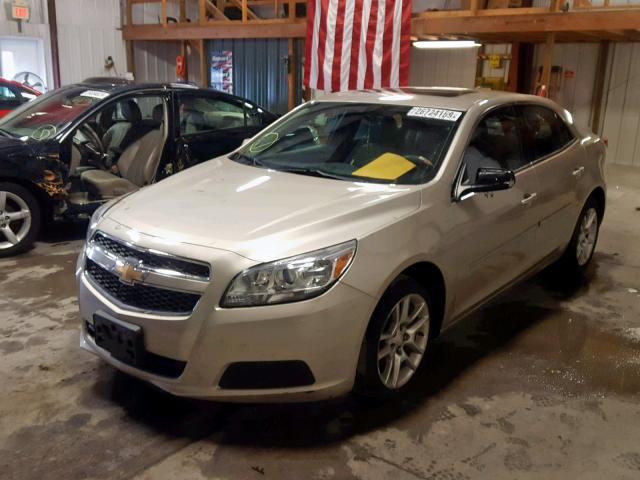 1G11C5SA5DF186273 - 2013 CHEVROLET MALIBU 1LT 金色 照片 2