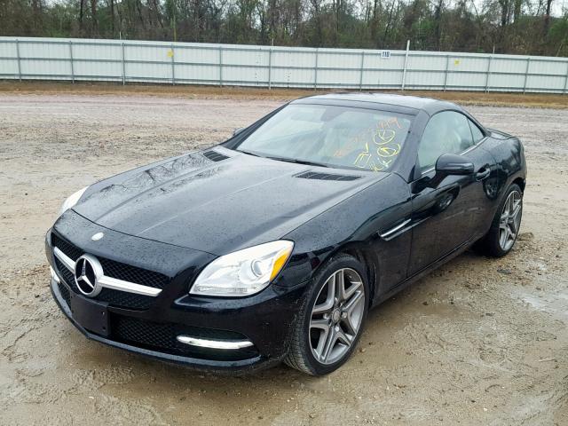 WDDPK4HA7DF062291 - 2013 MERCEDES-BENZ SLK 250 BLACK photo 2