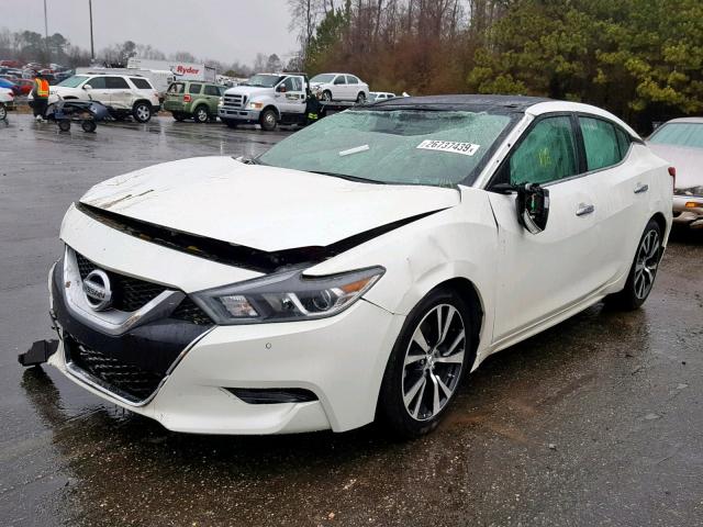 1N4AA6AP6HC446332 - 2017 NISSAN MAXIMA 3.5 WHITE photo 2