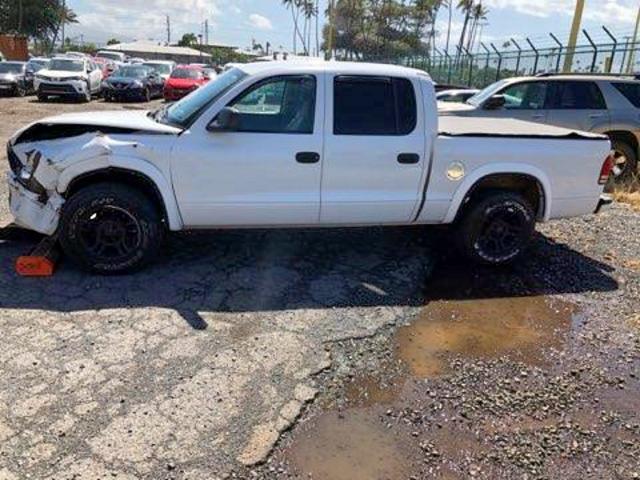 1D7HL38N54S533859 - 2004 DODGE DAKOTA QUA WHITE photo 9