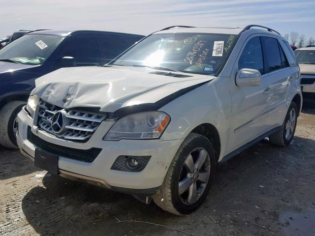 4JGBB5GB9AA596949 - 2010 MERCEDES-BENZ ML 350 WHITE photo 2