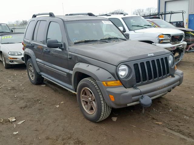 1J4GL38K05W559768 - 2005 JEEP LIBERTY RE GRAY photo 1