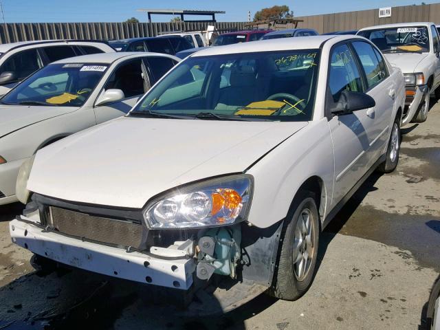 1G1ZT54875F227002 - 2005 CHEVROLET MALIBU LS Weiß Foto 2
