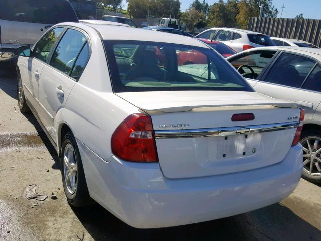 1G1ZT54875F227002 - 2005 CHEVROLET MALIBU LS Weiß Foto 3