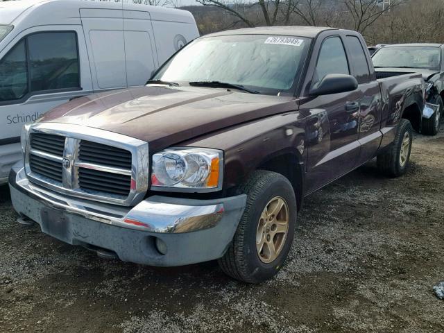 1D7HW42N55S207731 - 2005 DODGE DAKOTA SLT MAROON photo 2