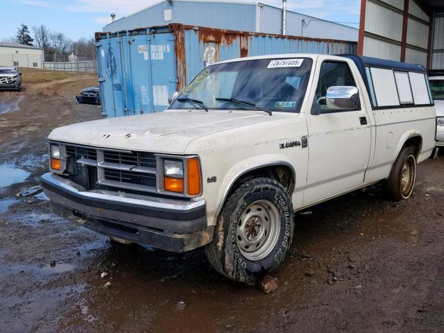 1B7FN14M6HS316436 - 1987 DODGE DAKOTA WHITE photo 2