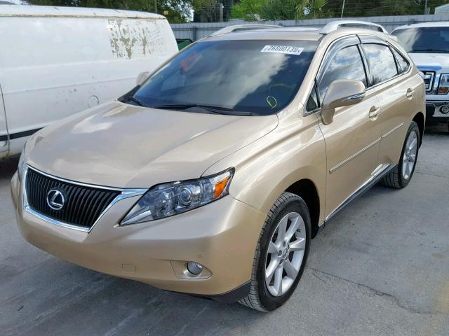 2T2ZK1BAXAC032955 - 2010 LEXUS RX 350 GOLD photo 2