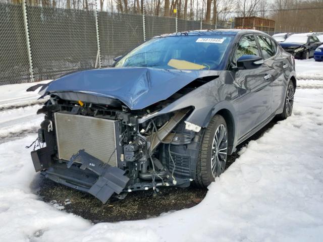 1N4AA6AP9GC447747 - 2016 NISSAN MAXIMA 3.5 GRAY photo 2