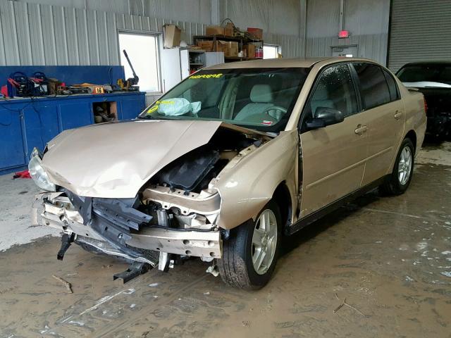 1G1ZT54805F190617 - 2005 CHEVROLET MALIBU LS GOLD photo 2