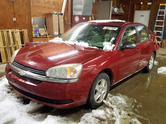 1G1ZT54835F133490 - 2005 CHEVROLET MALIBU LS RED photo 2