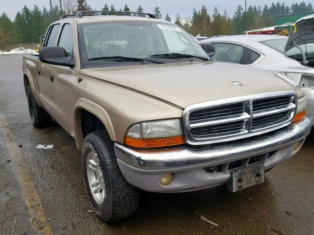 1D7HG48N63S170643 - 2003 DODGE DAKOTA QUA GOLD photo 1