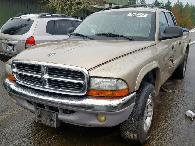 1D7HG48N63S170643 - 2003 DODGE DAKOTA QUA GOLD photo 2