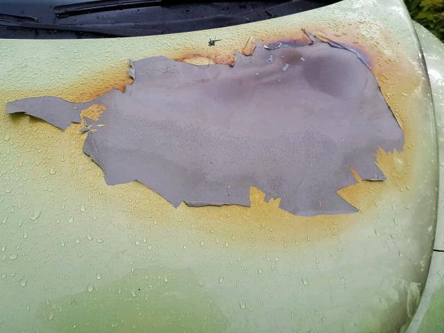 3VWDD21C33M437905 - 2003 VOLKSWAGEN NEW BEETLE Yaşıl foto 9