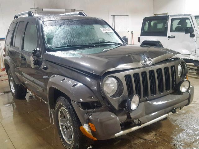 1J4GL38K05W553856 - 2005 JEEP LIBERTY RE GRAY photo 1