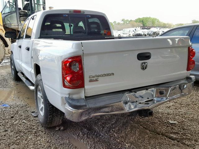 1D7HE48KX5S119547 - 2005 DODGE DAKOTA QUA WHITE photo 3