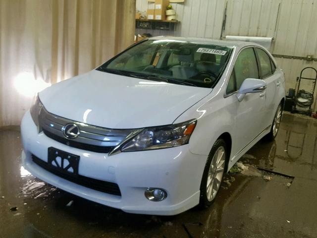 JTHBB1BA2A2012296 - 2010 LEXUS HS 250H WHITE photo 2