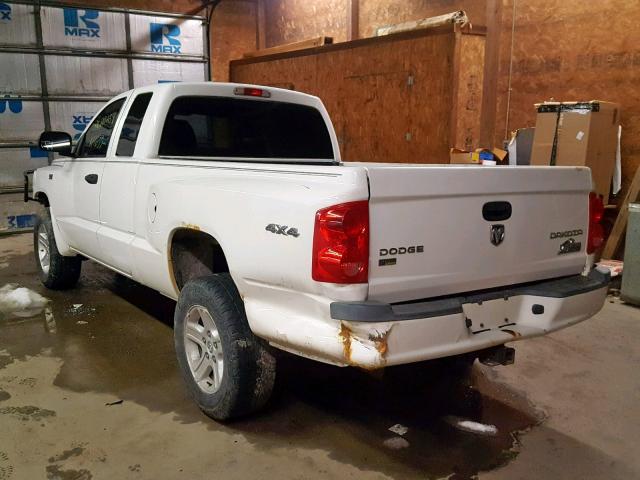 1D7HW32P49S800563 - 2009 DODGE DAKOTA SXT WHITE photo 3