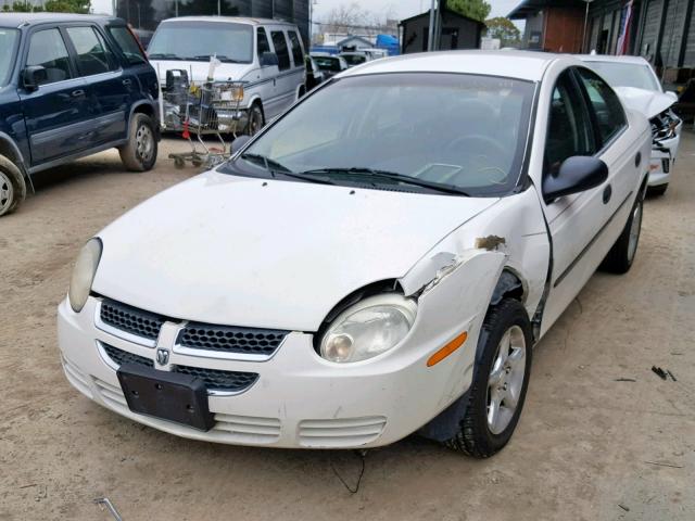 1B3ES26C34D590174 - 2004 DODGE NEON BASE WHITE photo 2