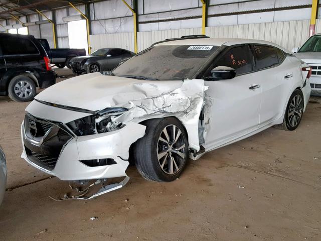 1N4AA6AP6HC377447 - 2017 NISSAN MAXIMA 3.5 WHITE photo 2