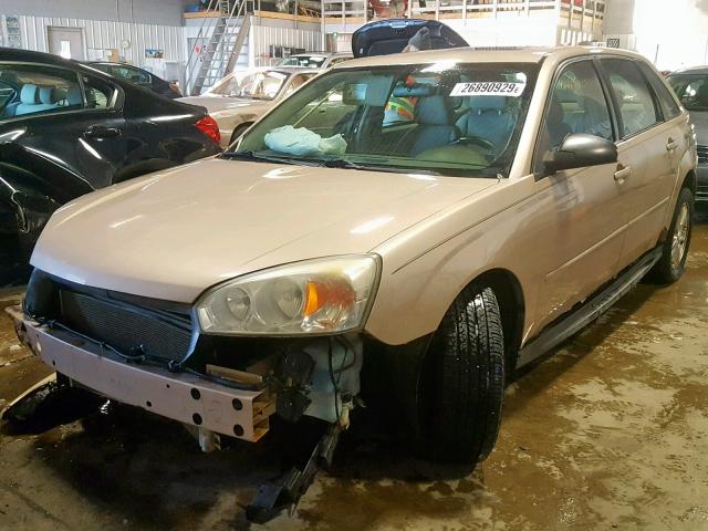 1G1ZT64874F228719 - 2004 CHEVROLET MALIBU MAX GOLD photo 2
