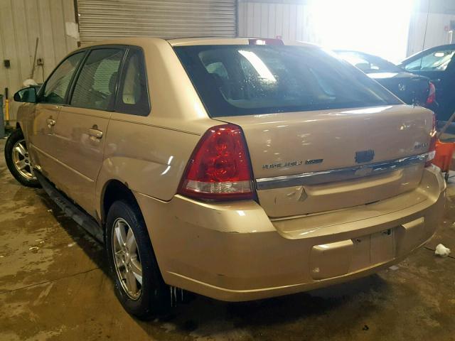 1G1ZT64874F228719 - 2004 CHEVROLET MALIBU MAX GOLD photo 3