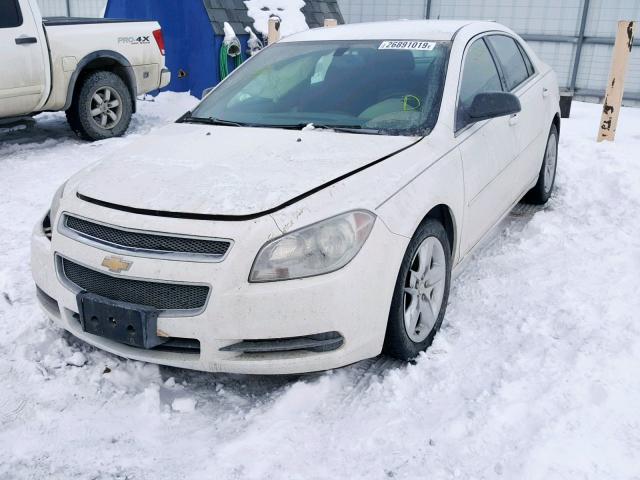 1G1ZB5EB0AF214132 - 2010 CHEVROLET MALIBU LS WHITE photo 2